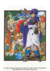 ドラゴンクエスト メモリアルカードコレクション V 天空の花嫁 - メルカリ