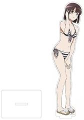 [중고] 아크릴 스탠드 아크릴 패널 카토 메구미 (수영복) BIG 아크릴 스탠드 [그렇지 않은 그녀의 키우는 방법 Fine]