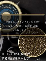 美品】フレーバー・マトリックス The Flavor Matrix 洋食 和食 - メルカリ