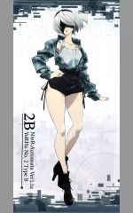 [중고] 태피스트리 2B 신작 등신대 태피스트리 [NieR:Automata Ver1.1a×돈키호테]