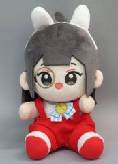 天官賜福 磁力賞 銀蝶入夢 A賞 謝憐 ぬいぐるみ - メルカリ