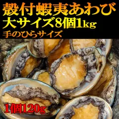 特大１ｋｇ 鮑あわび 120gサイズ 8個入り えぞあわび殻付き　刺身