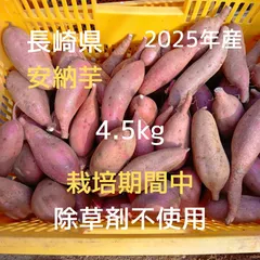 長崎県産 さつまいも 【安納芋】 4.5kg 栽培期間中除草剤不使用