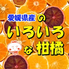 有田みかん 純宝丸 訳あり柑橘4種詰め合わせ10㎏入り - メルカリ