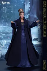 PLAY TOY 1/6 ギャラクシー・セネター 未開封新品 P022 Galaxy Senator