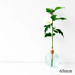 花瓶 一輪挿し フラワーベース スカンジナビアフォルム グラシリウム 65mm ブルー Scandinavia Form ガラス 北欧 ギフト 母の日