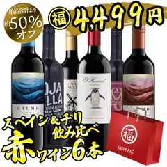 ワイン ワインセット 福袋 赤ワインセット 6本 辛口 ワイン福袋 スペイン＆チリ飲み比べ  福袋 赤ワインのサムネイル