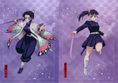 【中古】クリアファイル 胡蝶しのぶ＆栗花落カナヲ A4クリアファイル2枚セット 「アニプレックス オンラインくじ 劇場版 鬼滅の刃 無限城編 第一章 猗窩座再来 ～無限城決戦開幕～」 E賞