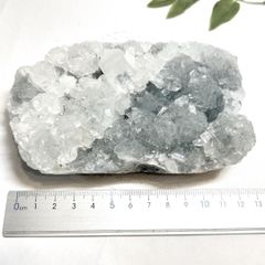 セレスタイト3.1kg ーt854 セレスタイト3.1kg ーt854 - メルカリ