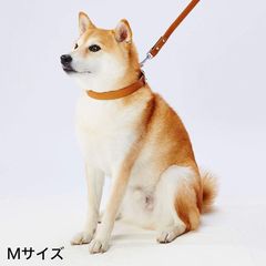 Item thumbnail for item abcff215-a64a-408e-b60f-3569d2047be0