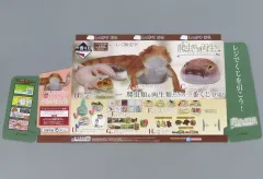 【中古】紙製品 ディスプレイPOP 「一番くじ 爬虫類＆両生類～Tiny Friends～」