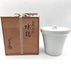 茶道具 前田勝代 染付 わらびの絵 水指 共箱 茶道 茶道具 前田勝代 染付 わらびの絵 水指 共箱 茶道 【公式通販】