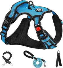 NESTROAD 犬 ハーネス 犬用胴輪 リードセット 小型犬/中型犬/大型犬 着脱簡単 調節可能 夜間反射 通気性 メッシュ 抜けない 散歩 歩行補助 訓練 しつけ用 安全 引っ張り防止 おしゃれ 可愛い はーねす ドッグ リード付 (ブルー,M)