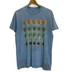 【中古】　Tシャツ　80s vintage　80年代　半袖　カットソー　トップス　クルーネック　フロントプリント　CALIFORNIA　シングルステッチ　USA製　古着　/5082