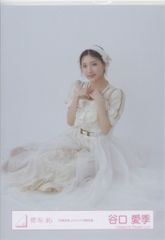 Item thumbnail for item fc1c618c-f8ad-4b4c-8cf1-6a560313724c