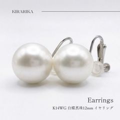 Item thumbnail for item 4a3e17ec-b285-47b5-9ffd-fc3082bf1b04