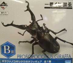 BANDAI SPIRITS 이치 반 쿠지 곤충 LIFE with INSECT B상 기라파노코기리쿠와가타 피규어