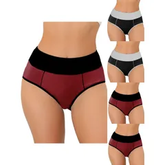 アレグラ ケー レディース アンダーウェア パンツ ハイウエスト プラスサイズ ALLEGRA K 5 Packs Womens High Waistummy Control Colorblock Brief Available In Plusize Burg