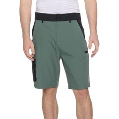 Item thumbnail for item 24383398-30cc-4fd9-be93-81ece58048e5