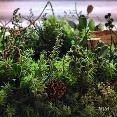 №164　グリーンリース　ヒムロスギ　プリザーブドフラワー　ドライフラワー　北欧インテリア　ナチュラル雑貨　クリスマス 木の実　針葉樹