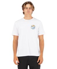 CALEE HARLEY BORDER Tシャツ完売Sサイズ - メルカリ