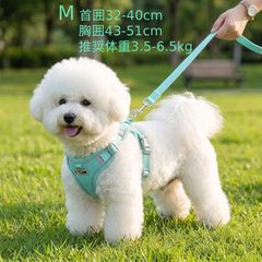 Item thumbnail for item 8587f27e-2301-432b-8aa9-54bd76a54d18