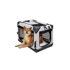 Item thumbnail for item 7e20745b-b93a-41fe-b76d-af1d9c901d9a