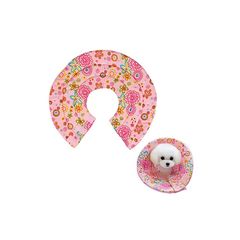 Item thumbnail for item 250c73c2-a65e-4fc7-985d-7047c954ad0c