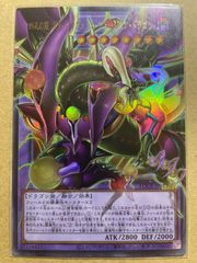 究極竜魔導師　プリシク LOSP-JP011 究極竜魔導師/プリズマティックシークレット【融合】《LOSP-JP011