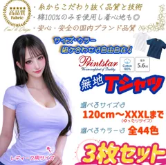 ｡❀ 【おまけつき】1枚 827円！ Printstar 無地Tシャツ 3枚セット