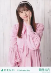 【中古】生写真(坂道シリーズ) 菅原咲月/上半身/2024 福袋 Lucky Bag 「カレンダー衣装」