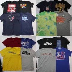 古着卸 まとめ売り ナイキ NIKE 半袖Tシャツ 16枚セット (メンズ L ) プロチーム NFL MLB スウォッシュロゴ タイダイ柄 NBA 中古 NE2415