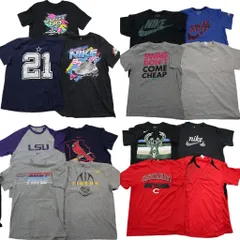 古着卸 まとめ売り ナイキ NIKE 半袖Tシャツ 15枚セット (メンズ L ) プロチーム NFL MLB NBA リンガーT Ｖネック 中古 古着 NE2416