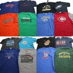 古着卸 まとめ売り プロチーム 半袖Tシャツ 16枚セット (メンズ XL /2XL /3XL /4XL ) MLB NFL NBA パッカーズ ジャイアンツ 中古 NE2498