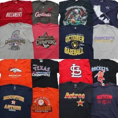古着卸 まとめ売り プロチーム 半袖Tシャツ 16枚セット (メンズ L ) ブロンコス カージナルス アストロズ NFL MLB 中古 古着 NE2504