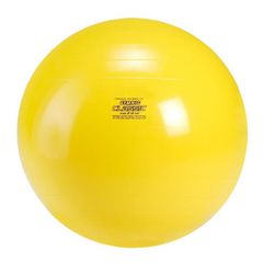 GYMNIC バランスボール plus ギムニク 3つセット - メルカリ