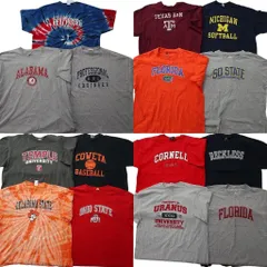 古着卸 まとめ売り カレッジ風 半袖Tシャツ 15枚セット (メンズ 2XL /3XL ) タイダイ アーチロゴ ３段ロゴ 中古 古着 NE2368