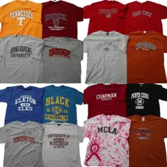 古着卸 まとめ売り カレッジ風 半袖Tシャツ 16枚セット (メンズ L /XL ) タイダイ アーチロゴ 中古 古着 NE2372