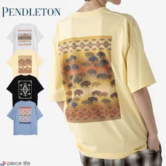 【2026春夏新作】 tシャツ 半袖 メンズ レディース  ペンドルトン  PENDLETON  バックプリント Back Print SS Tee 高機能 春 夏 秋 M L 6275-4003のサムネイル