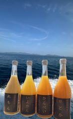 愛媛県産島育ち柑橘ストーレート果汁100%4本 愛媛県産島育ち柑橘ストーレート果汁100%4本 - メルカリ