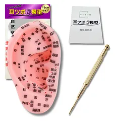 ikomaido 耳 模型 耳ツボ 耳つぼ 耳つぼジュエリー 3点セット 模型 13cm 18cm スティック 耳つぼシール 耳ツボシール セルフケア (18cm) [18cm]