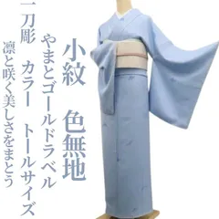2026年最新】身丈(肩山から)：170〜174cm レディース着物 色無地の人気