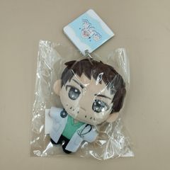 ニトロキラル スロウダメージ キラメモ ぬいパル ぬいぐるみマスコット