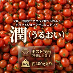 【弾ける瑞々しさ！パリッと完熟ブランドミニトマト『潤（うるおい）』たっぷり約４００ｇ　☆】⭐︎フルーツ　ミニトマト　トマト　完熟　ポスト投函　フルーツトマト　潤４００ｇのサムネイル