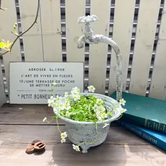 こけ様　専用ページ