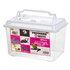 Item thumbnail for item 9d099c56-b7ab-4150-8849-773f63c15f33