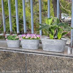 新品 植木鉢 大型鉢 プランター インテリア モダンデザイン 45cm正方形