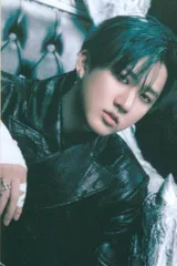 StrayKids 京セラドーム Changbin GIANT　domin ATE JAPAN 会場購入特典 B