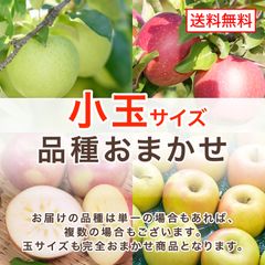 gerukupi様専用、糖度20%！味は贈答用クラス3キロ信州高山村産サンフジ