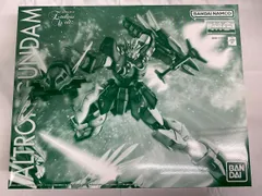 2026年最新】1/100 MG XXXG-01S2 アルトロンガンダム EW 「新機動戦記